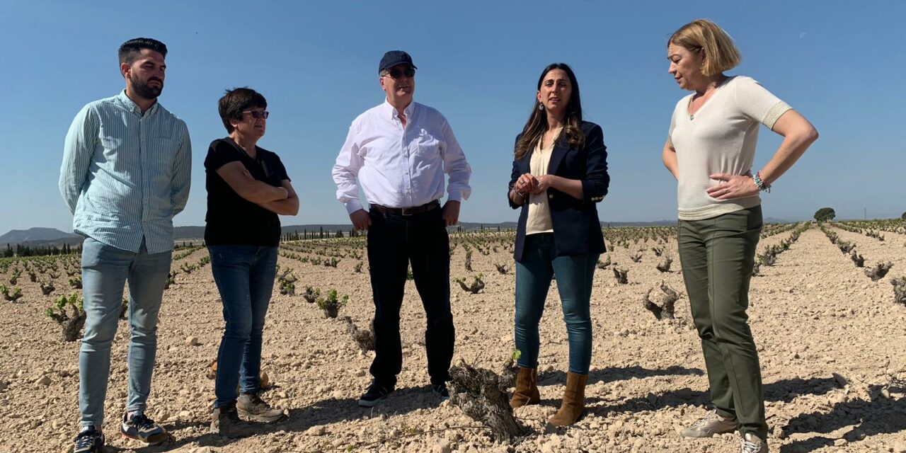 Nicolás Pascual de la Parte, de visita en Jumilla: “La sequía debería ser un criterio para asignar más fondos”