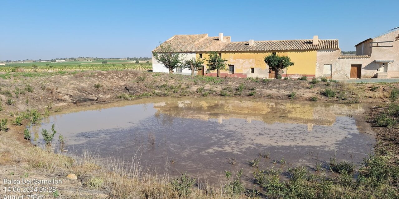 El arreglo de vertientes y caminos «propicia» que se llenen las balsas tras las últimas lluvias