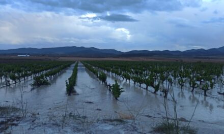 Las lluvias de los últimos días dejan acumulados de 100 litros por metro cuadrado