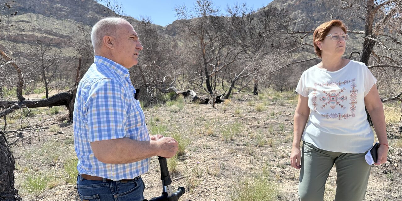 El PSOE exige la reforestación de zonas quemadas en los parajes de La Patoja y Sierra Larga