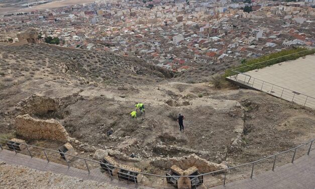 Servicios limpia las ruinas de Santa María de Gracia y desbroza los alrededores del Castillo