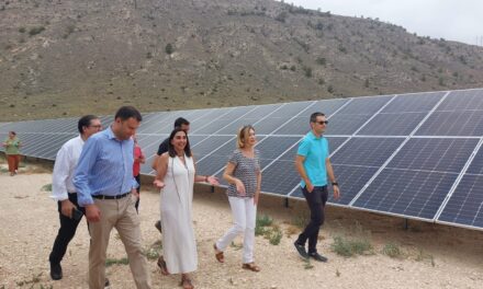 La comunidad de regantes Cristo de la Columna tendrá una nueva planta solar