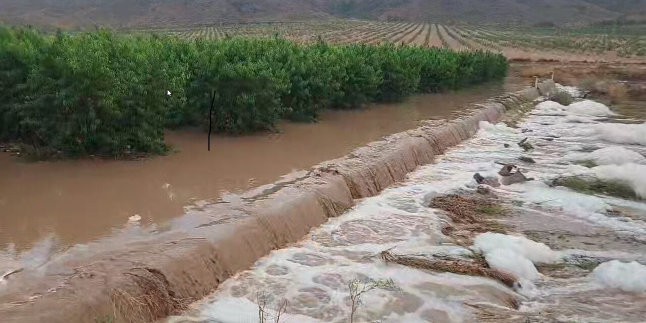 Una tormenta colapsa el municipio y deja inundados bajos y domicilios, y fincas completamente anegadas