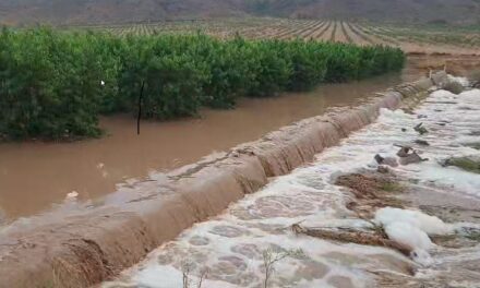 Una tormenta colapsa el municipio y deja inundados bajos y domicilios, y fincas completamente anegadas