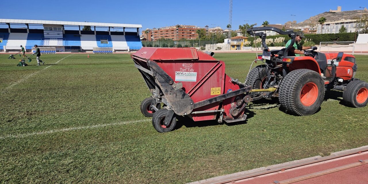 Jardines realiza trabajos de adecuación y resiembra del campo Uva Monastell