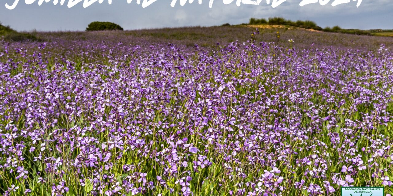 Stipa selecciona fotografías para su calendario «Jumilla al natural»