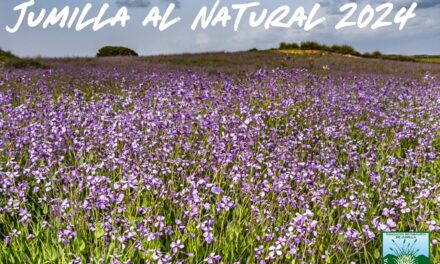 Stipa selecciona fotografías para su calendario «Jumilla al natural»