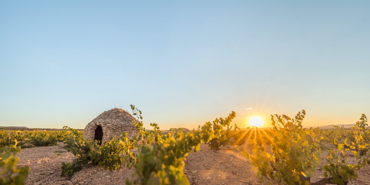 La DOP Jumilla apoya VITAEVINO, una iniciativa para reivindicar el papel socioeconómico del vino