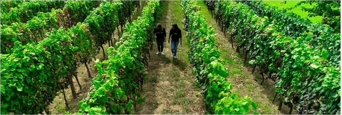 Las mujeres rurales celebran su día internacional, con una jornada en la Cañada del Trigo mañana martes