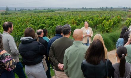 Bodegas Luzón exporta desde Jumilla su ‘Vendimia abierta’ hasta Bodegas Corral en La Rioja