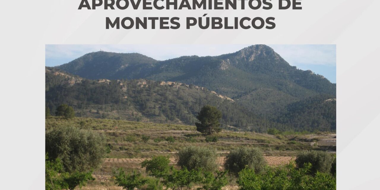 Aprobado el Plan de Aprovechamientos de los montes de utilidad pública