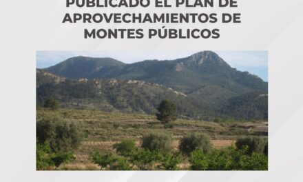 Aprobado el Plan de Aprovechamientos de los montes de utilidad pública