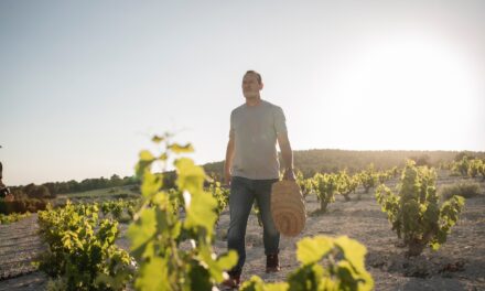 La DOP presenta un adelanto del tercer capítulo de Diálogos de Arte&Vino: Jumilla