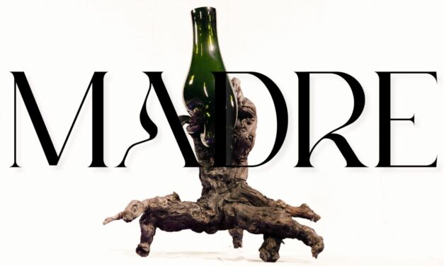 La DOP Jumilla cierra la trilogía de ‘Diálogos de Arte & Vino’, un proyecto pionero