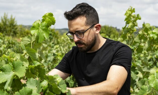Juan Daniel Moreno, finalista para un premio de la Plataforma Tecnológica del Vino