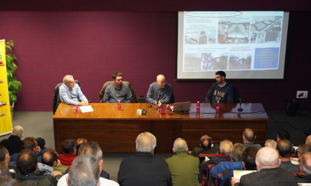 El IMIDA y COAG insisten en la importancia de luchar unidos contra la avispilla del almendro
