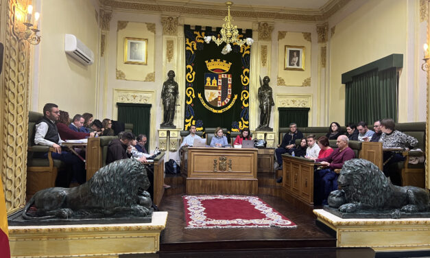 El pleno aprueba crear un parque canino en el barrio de San Juan y modificar la ordenanza fiscal del IBI para alojamientos turísticos