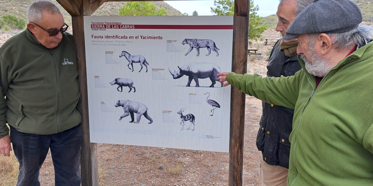 Los miembros de un curso de patrimonio geominero visitan las huellas de la Sierra de las Cabras