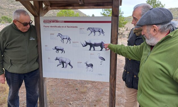 Los miembros de un curso de patrimonio geominero visitan las huellas de la Sierra de las Cabras