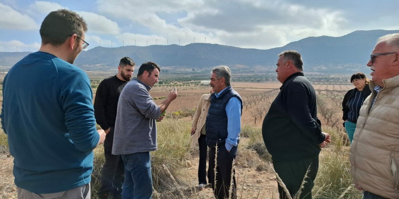 “Esto ya es el desierto, sin lluvias y sin regadío miles de hectáreas se secan, y da pena verlo”