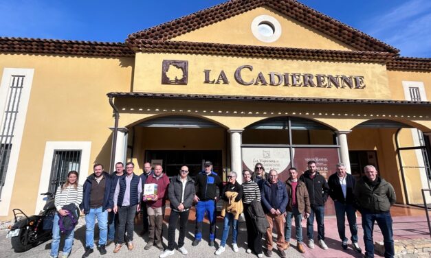 La DOP Vinos de Jumilla realiza un intercambio técnico con la región de Bandol, en el sur de Francia
