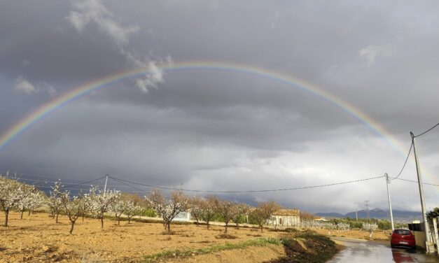 Marzo deja cerca de 100 l/m2 en ciertos puntos del término municipal