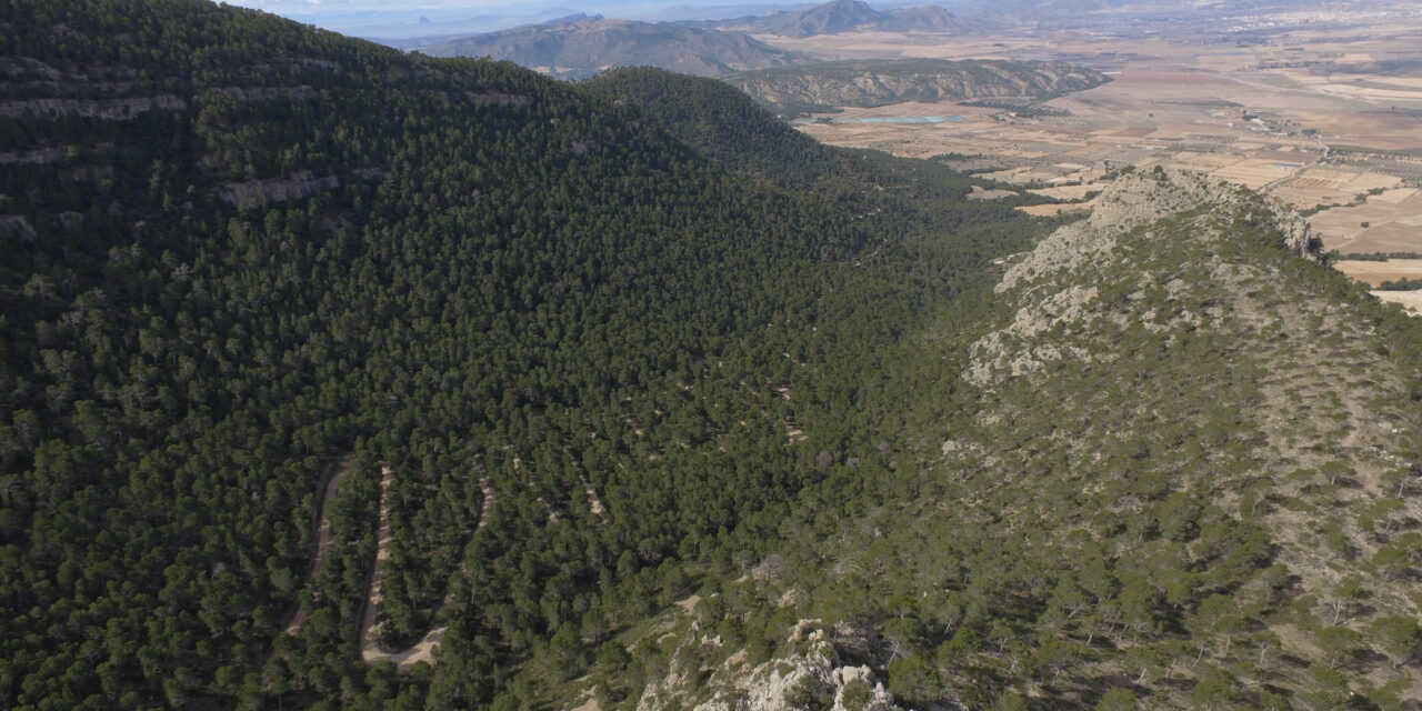 La Comunidad impulsa la creación de una red de itinerarios en el Parque de la Sierra del Carche