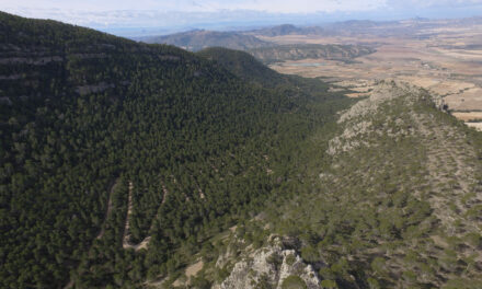 La Comunidad impulsa la creación de una red de itinerarios en el Parque de la Sierra del Carche