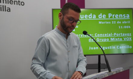 Vox pedirá al pleno que se eliminen los cables de las calles y fachadas