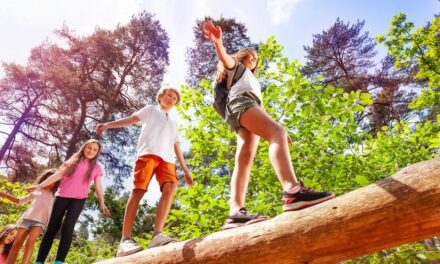La Junta Local aprueba los campamentos de verano para menores