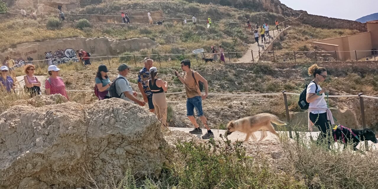 La Marcha Solidaria de 4 Patas contó con la participación de 60 personas más los voluntarios