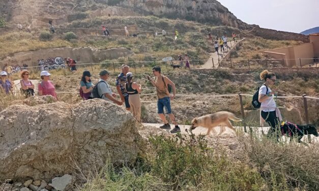 La Marcha Solidaria de 4 Patas contó con la participación de 60 personas más los voluntarios