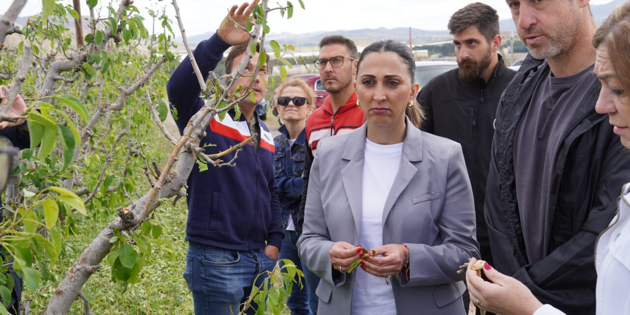 La consejera de Agricultura y el presidente provincial de Vox visitan la zona cero