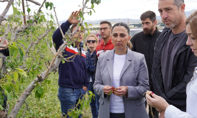 La consejera de Agricultura y el presidente provincial de Vox visitan la zona cero
