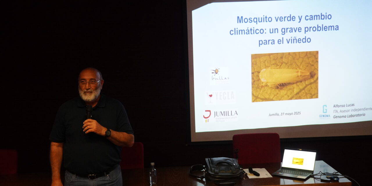 “Si no se protege la vid de la plaga del mosquito verde, la planta se secará”