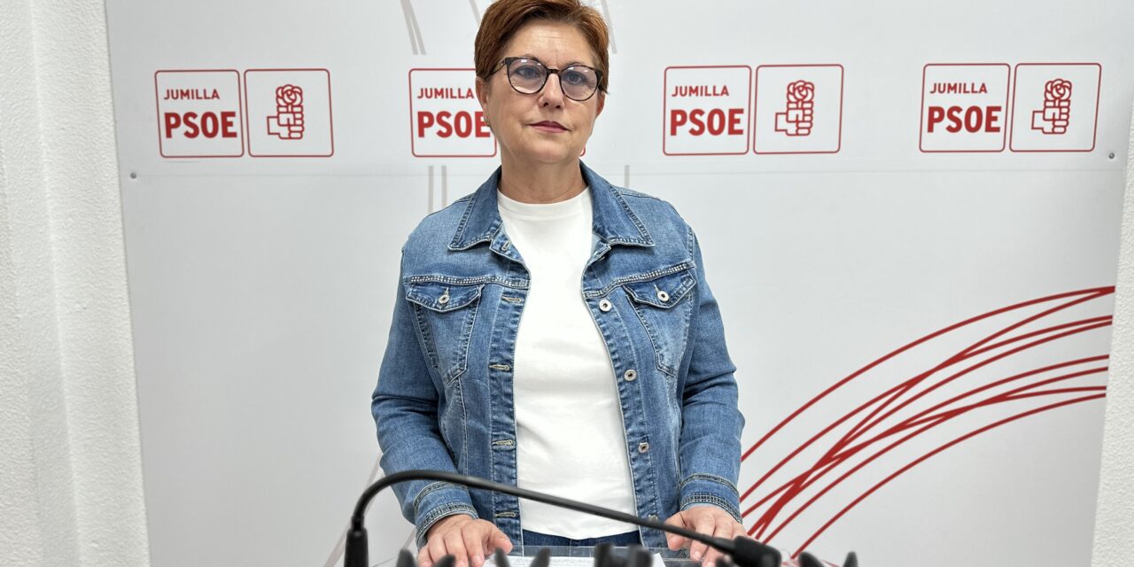 El PSOE insta a la Agencia Tributaria a cumplir con los anticipos a cuenta