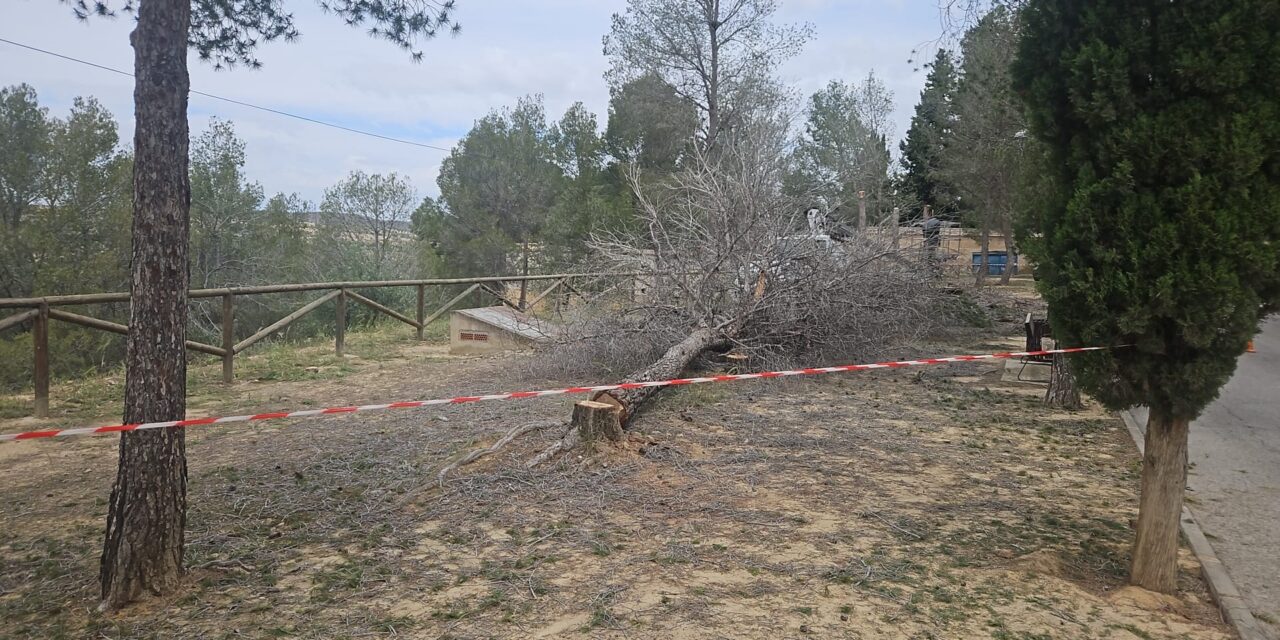 Medio Ambiente mejora la seguridad y el aspecto de distintos espacios verdes