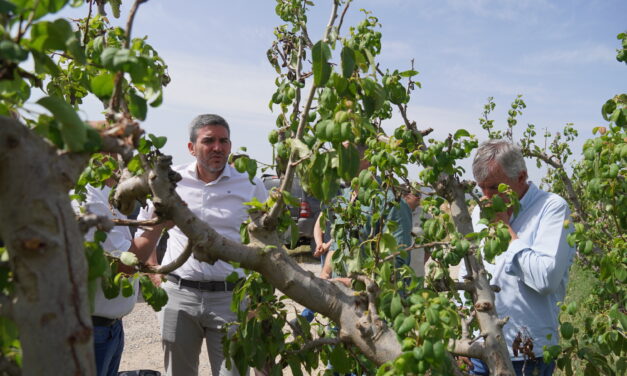 El PP exige a Sánchez medidas ‘urgentes’ para ayudar a los damnificados por el granizo