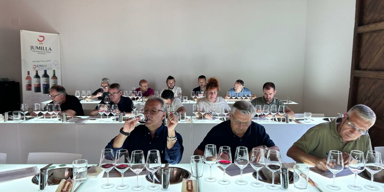 “Muy buena” es la calificación de la añada 2024 en la DOP Jumilla, destacando la calidad de los tintos