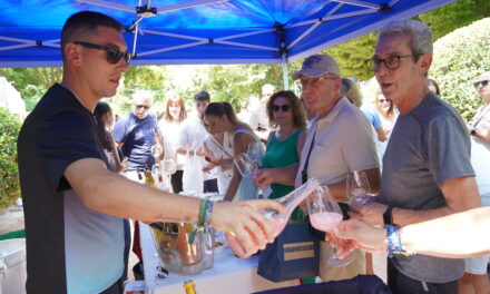 Siete bodegas sirven sus “vinos estrella” en la Mini Feria de la Federación y Asevin. Galería de fotos