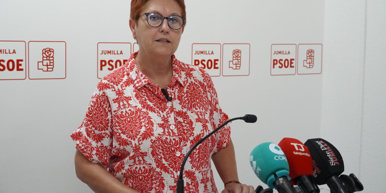 El PSOE considera que el presupuesto “atiende solo a intereses particulares”