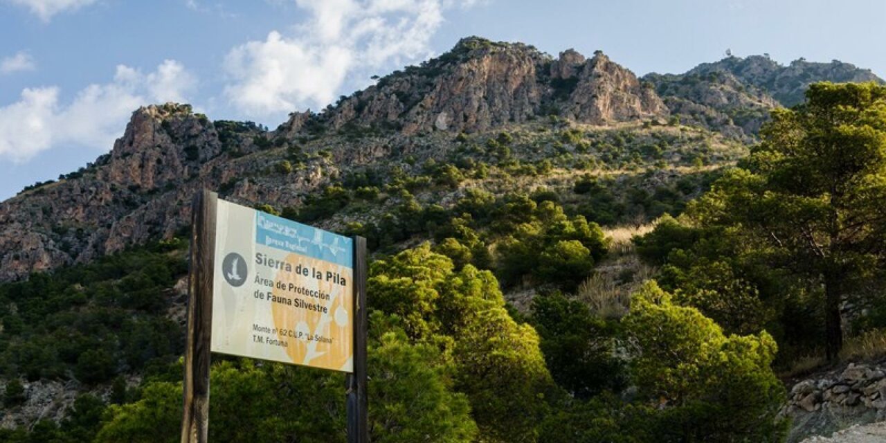 La ruta de Feria de Stipa pasará por La Zarza y Fuente La Higuera