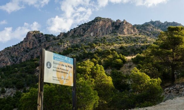 La ruta de Feria de Stipa pasará por La Zarza y Fuente La Higuera