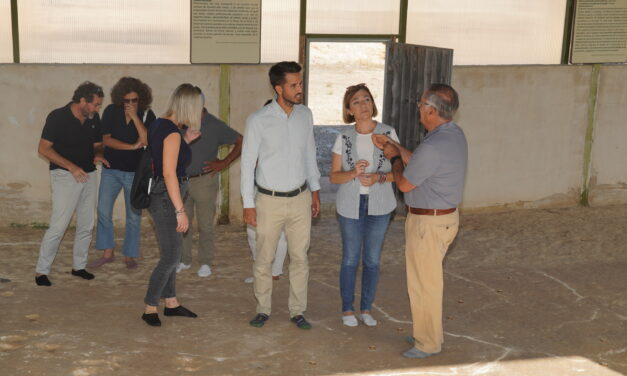 El yacimiento de la Hoya de la Sima, a un paso de ser catalogado BIC