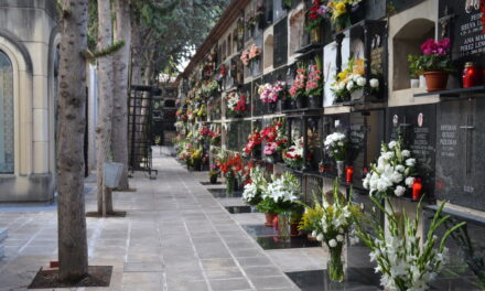 La Junta de Gobierno aprueba iniciar mejoras en el cementerio y el campo de fútbol Antonio Ibáñez