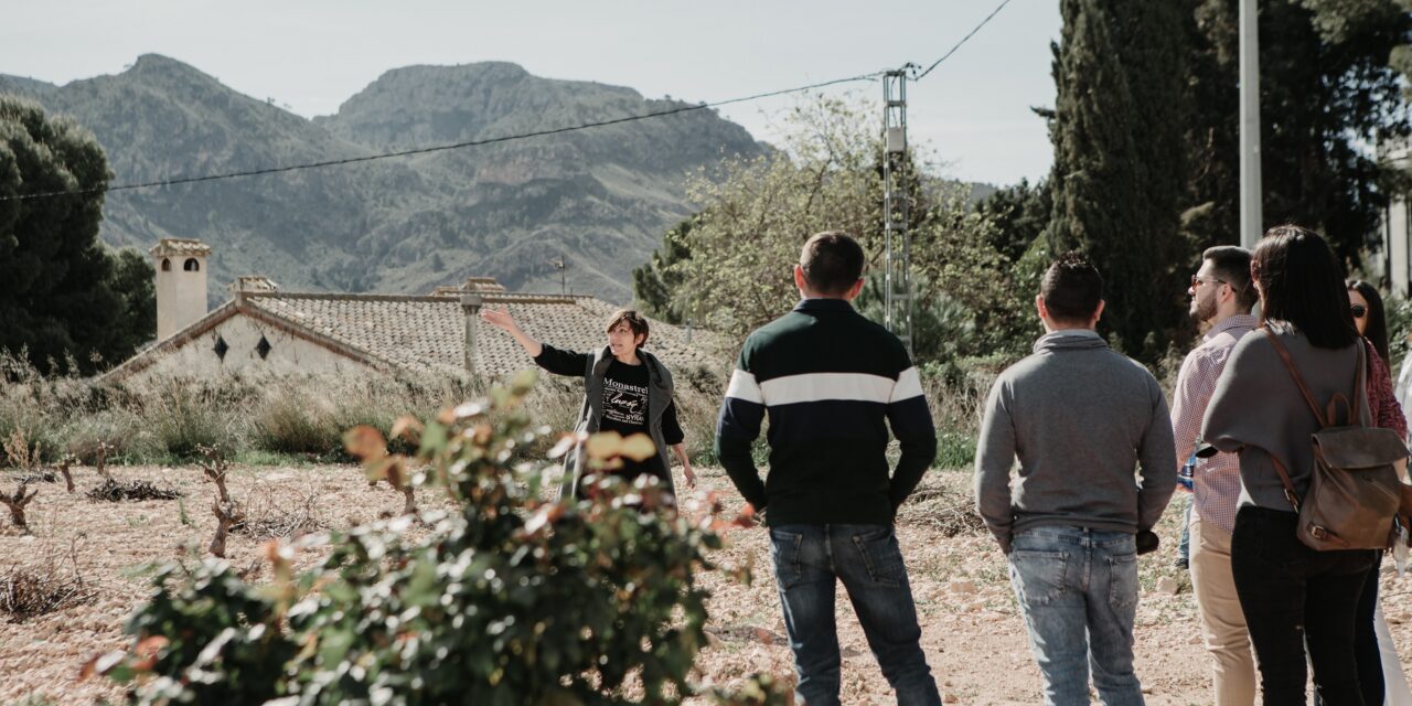 Bodegas Luzón presenta la XIV edición del programa de actividades Vendimia Abierta
