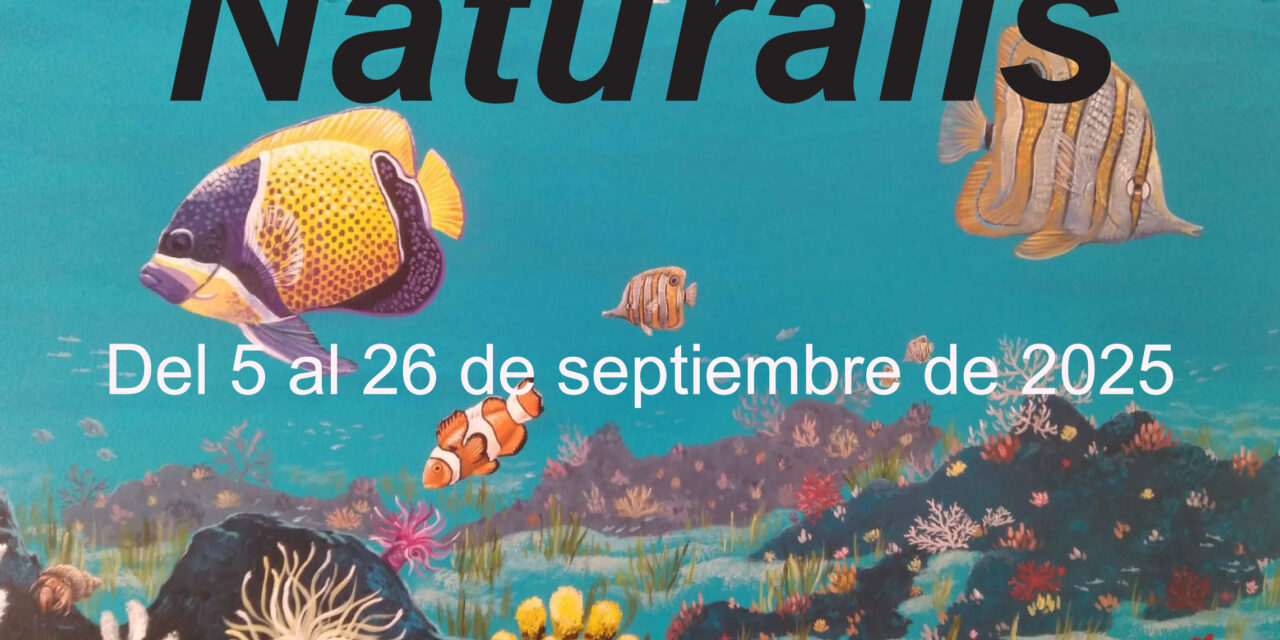 Paqui Mateo García imaugura “Naturalis” en la galería de arte de La Alquería