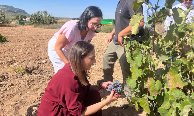El sector vitivinícola recibirá 8 millones de euros para promoción e inversiones