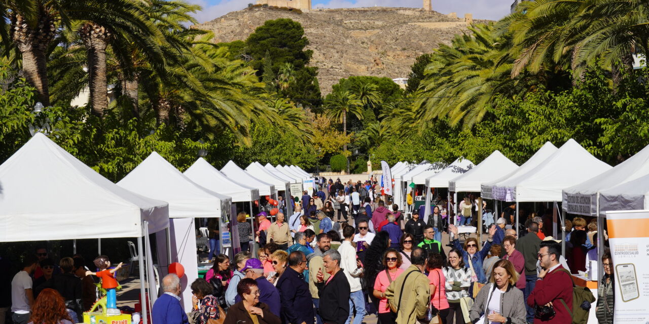 El II Encuentro de las asociaciones sociales y sanitarias cierra con gran éxito de público