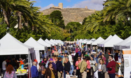 El II Encuentro de las asociaciones sociales y sanitarias cierra con gran éxito de público